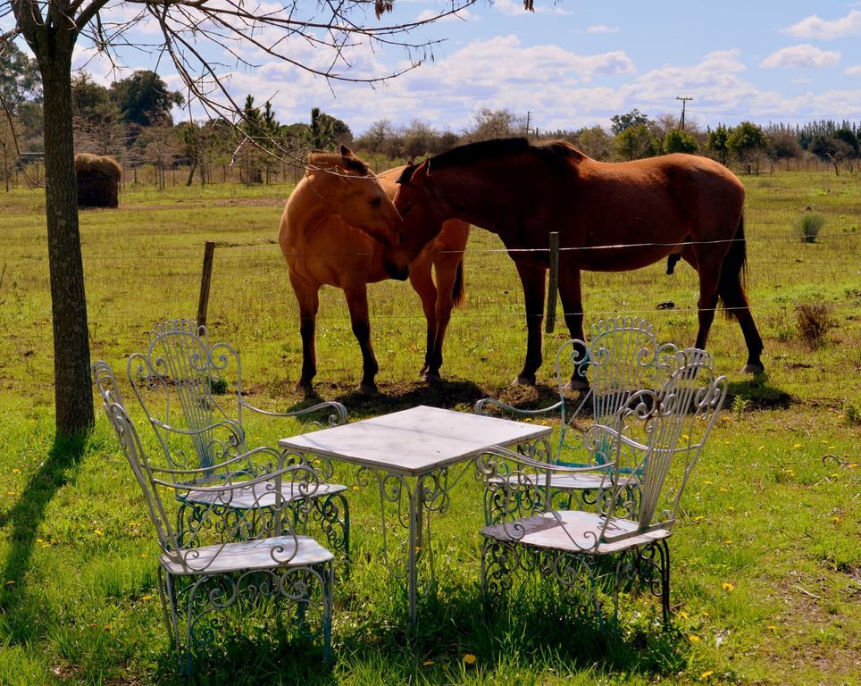 Вилла El Ranchito De Areco Сан-Антонио-де-Ареко Экстерьер фото